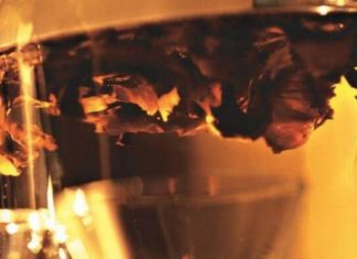 კაკლის უღელი ჩიყვის სამკურნალოდ : საოცრად სასარგებლო პროდუქტი