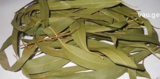 ევკალიპტი – მოქმედებს, როგორც ანთების საწინაღმდეგო საშუალება, განსაკუთრებით სასუნთქი გზების ანთებისას