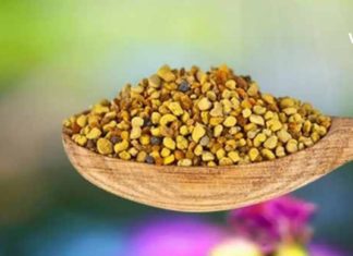 ყვავილის მტვერი საოცარი მკურნალია მათთვისაც აწუხებს: ანემია, გულსისხლძარვთა სისტემა და ღვიძლი.