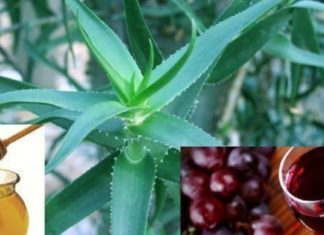 ჩემი მეგობრის წყალობით დავამარცხე რადიკულიტი – მთავარია გქონდეთ თაფლი, ალოე და წითელი ღვინო