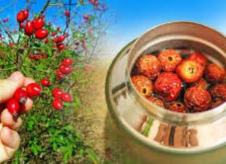 ასკილის ნაყენი თქვენი მშველელია – პირველივე გამოყენებისას დარწმუნდებით ამაში