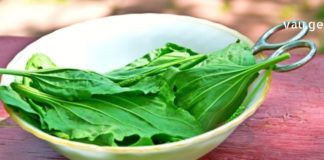 თუ თქვენ გსურთ თამბაქოს თავი დაანებოთ და არ იცით ეს როგორ მოახერხოთ, მაშინ გაგიზიარებთ ძალიან ეფექტურ რეცეპტს