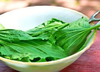 თუ თქვენ გსურთ თამბაქოს თავი დაანებოთ და არ იცით ეს როგორ მოახერხოთ, მაშინ გაგიზიარებთ ძალიან ეფექტურ რეცეპტს