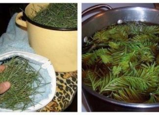 Შესანიშნავი რეცეპტი ჰიპერტონიული პაციენტებისთვის