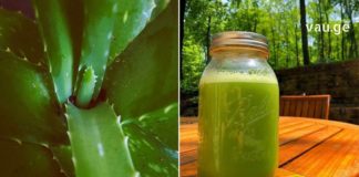 ალოეს სამკურნალო რეცეპტი ჰეპატიტის, ციროზისა და ნაღველკენჭოვანი დაავადების სამკურნალოდ