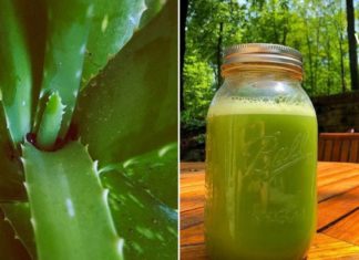 ალოეს სამკურნალო რეცეპტი  ჰეპატიტის, ციროზისა და ნაღველკენჭოვანი დაავადების სამკურნალოდ