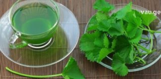 რევმატულ ტკივილებს ისე არაფერი შველის, როგორც ნიახურის ფესვების ნახარში