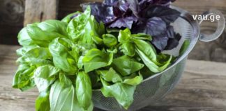 5 მცენარე, რომელიც იზიდავს პოზიტიურ ენერგიას სახლში