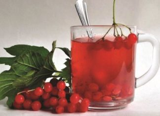 ძალიან მიყვარს ძახველი და მისგან უამრავი წამლის დამზადება ვისწავლე – მინდა თქვენც გაგიზიაროთ