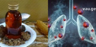 ჩემთვის ნამდვილი აღმოჩენაა: თურმე პროპოლისის ზეთი ფილტვებს კურნავს