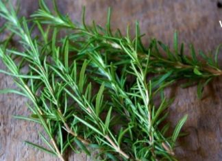 4 ტოპ სანელებელი, რომელიც კლავს ყველა ბაქტერიას და იცავს ტვინის უჯრედებს – ეს ყველამ უნდა გაიგოს !