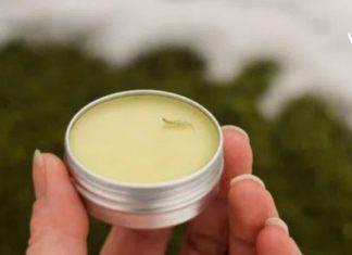 დამწვარ კანს ჭინჭარი მოგიშუშებთ – აი როგორ უნდა მოამზადოთ უებარი მალამო.