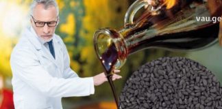 შუა აზიაში ამ ზეთს იყენებენ მთელი სიცოცხლის მანძილზე, რადგან ის ითვლება ყველა დაავადების წამლად : გაიგეთ რაზეა საუბარი !