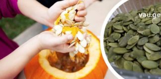 Როგორ უნდა მიირთვათ გოგრის თესლი სწორად, ჭიების, ქოლესტერინის, დიაბეტის, ყაბზობის და სხვათა მოსაშორებლად!