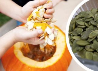 Როგორ უნდა მიირთვათ გოგრის თესლი სწორად, ჭიების, ქოლესტერინის, დიაბეტის, ყაბზობის და სხვათა მოსაშორებლად!