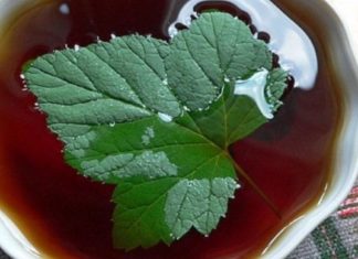 მაკურნებელი ჩაი – სასწაულებეს ახდენს