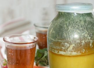 ჩემი დედამთილის დღიურში ეს საიდუმლო რეცეპტი აღმოვაჩინე – გაოცებას ვერ ვმალავ!