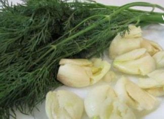 როდის და ფორმით უნდა გამოვიყენოთ კუჭის სამკურნალოდ ნიორი და კამა?! – ამის ცოდნა ყველას გამოგადგებათ