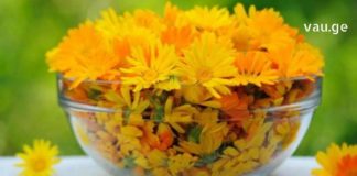 ამის შესახებ ყველამ უნდა გაიგოს: გულყვითელას აქვს ძვირფასი კოსმეტოლოგოური თვისებები და სასწაულებრივი სამკურნალო ძალა