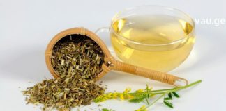 გასაოცარი ნაყენის შესახებ ყველამ უნდა გაიგოთ სასწრაფოდ ! – ეს მცენარე საპატიო ადგილს იკავებს ჩემს სახლში!