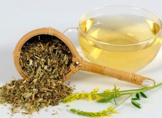 გასაოცარი ნაყენის შესახებ ყველამ უნდა გაიგოთ სასწრაფოდ ! – ეს მცენარე საპატიო ადგილს იკავებს ჩემს სახლში!