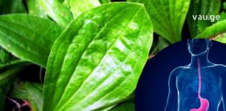 კუჭის წყლულის სამკურნალო რეცეტები – ეს ჩვენი ჯანმრთელობისთვისაა