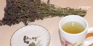 მკურნალობა თავშავათი – ეს ნაყენი თქვენი მშველელი გახდება