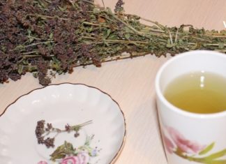 მკურნალობა თავშავათი – ეს ნაყენი თქვენი მშველელი გახდება