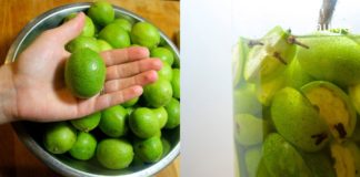 მწვანე კაკლის ნაყენი – გასაოცარი თვისებებით გამოირჩევა!