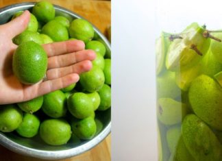 მწვანე კაკლის ნაყენი – გასაოცარი თვისებებით გამოირჩევა!