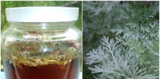 მოამზადეთ სახლში ეს უნიკალური წამალი და მომდევნო 10 წლის განმავლობაში პარაზიტები აღარ შეგაწუხებთ!