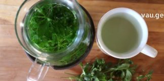 ეს სამკურნალო ბალახი ბევრი უსიამოვნებისგან გიხსნით – მამაჩემმა შემთხვევით აღმოაჩინა სეირნობისას