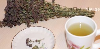 როცა თავის ტკივილი გტანჯავთ ეს წამალი გამოიყენეთ – ავადმყოფობა დაგავიწყდებათ ! !