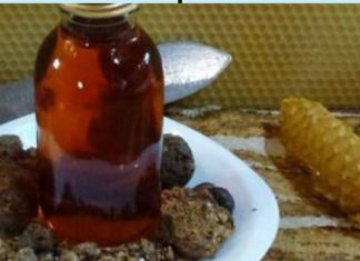 ამით ყველას გადავარჩენ – ყველა სიკეთესთან ერთად დინდგელი იმუნიტეტის აღმდგენი ყოფილა