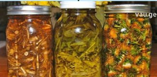 ზამთარმა ძალ-ღონე გამოგაცალათ და არ იცით რა მოიმოქმედოთ? ჩვენ დაგეხმარებით ჯადოსნური რეცეპტებით