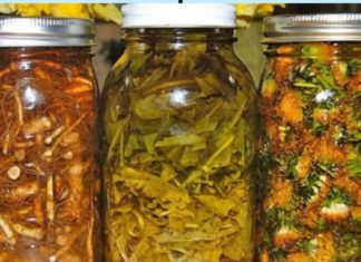 ზამთარმა ძალ-ღონე გამოგაცალათ და არ იცით რა მოიმოქმედოთ? ჩვენ დაგეხმარებით ჯადოსნური რეცეპტებით