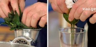 აი, რატომ უნდა მოიმარაგოთ ჭინჭარი: მას შეუძლია სასწაულების მოხდენა თქვენი ჯანმრთელობისთვის!