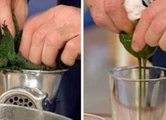 აი, რატომ უნდა მოიმარაგოთ ჭინჭარი: მას შეუძლია სასწაულების მოხდენა თქვენი ჯანმრთელობისთვის!