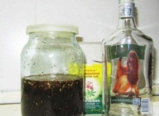 ჩემი დედამთილის მაგალითი ნათლად აჩვენებს, თუ როგორ შეიძლება სკლეროზის დაავადების 100%-ით პრევენცია ამ მცენარეებით!