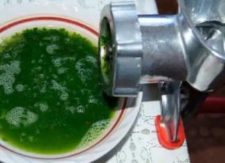 ნამდვილი მკურნალი, რომელიც ბუნების საჩუქარია – 14 მიზეზი რატომ უნდა გქონდეთ ეს მცენარე აუცილებლად სახლში