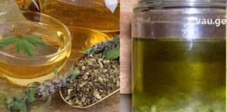 გახდით საკუთარი თავის მკურნალი : სამუდამოდ დაემშვიდობეთ ფარისებრი ჯირკვლის პრობლემებს, ქრონიკულ დაღლილობას და გამუდმებულ ტკივილებს !