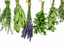 ხილი და ყვავილები თქვენთვის: ნახეთ რისი განკურნება შეგიძლიათ აქ ჩამოთვლილი მცენარეებით