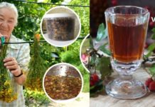 როცა გულის ფრიალი და რიტმის ცვლილება მაწუხებს, ყოველთვის ამ ხერხს მივმართავ და აღარ მეშინია !