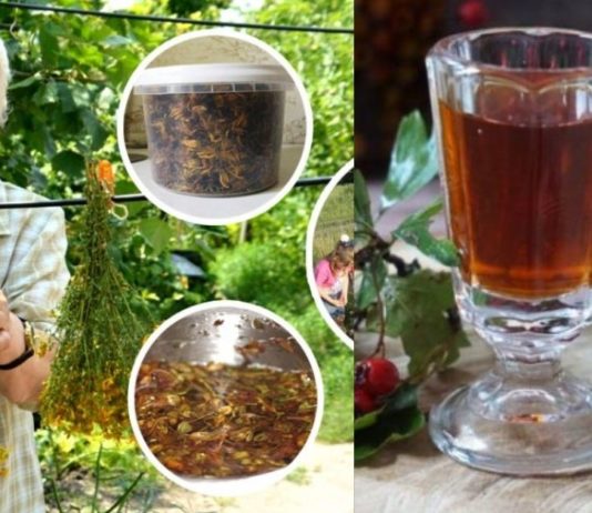 როცა გულის ფრიალი და რიტმის ცვლილება მაწუხებს, ყოველთვის ამ ხერხს მივმართავ და აღარ მეშინია !