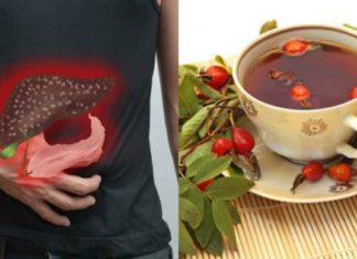 ფასდაუდებელი მცენარე, რომელიც გამოირჩევა ნაღველმდენი თვისებებით! -ეს ყველას ოჯახში უნდა იყოს!