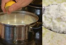 ლიმონიანი ხაჭო – აქვს მთელი რიგი თერაპიული ეფექტი: ამაგრებს ძვლებს, აუმჯობესებს მეხსიერებას, ძალიან სასარგებლოა ნევროზული აშლილობისა და დეპრესიული მდგომარეობის დროს !