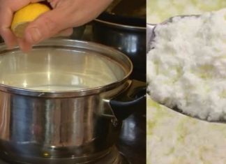 ლიმონიანი ხაჭო – აქვს მთელი რიგი თერაპიული ეფექტი: ამაგრებს ძვლებს, აუმჯობესებს მეხსიერებას, ძალიან სასარგებლოა ნევროზული აშლილობისა და დეპრესიული მდგომარეობის დროს !