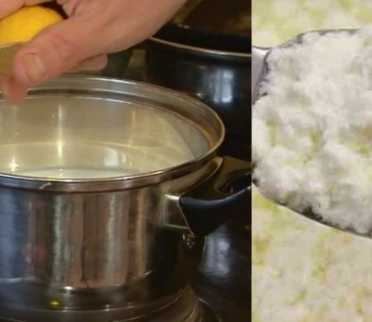 ლიმონიანი ხაჭო – აქვს მთელი რიგი თერაპიული ეფექტი: ამაგრებს ძვლებს, აუმჯობესებს მეხსიერებას, ძალიან სასარგებლოა ნევროზული აშლილობისა და დეპრესიული მდგომარეობის დროს !