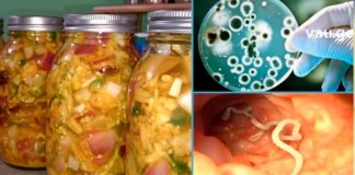 მძლავრი ანტიპარაზიტული მცენარეები – მათი სარგებლის გაგება ჩემთვის ნამდვილი აღმოჩენაა!