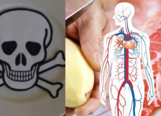 Მარტივი საიდუმლოებები მათთვის, ვისაც ჯანმრთელობის შესანარჩუნება სურს დიდი ხნის განმავლობაში !